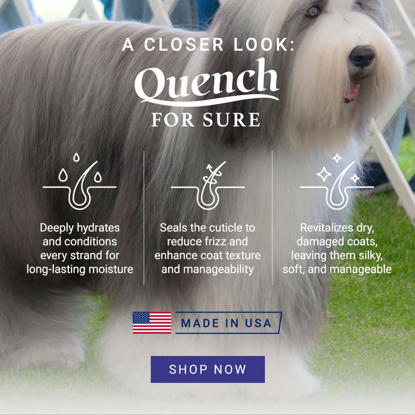 Chris Christensen Quench Leave in Conditioner Spray for Dogs, 13.2oz