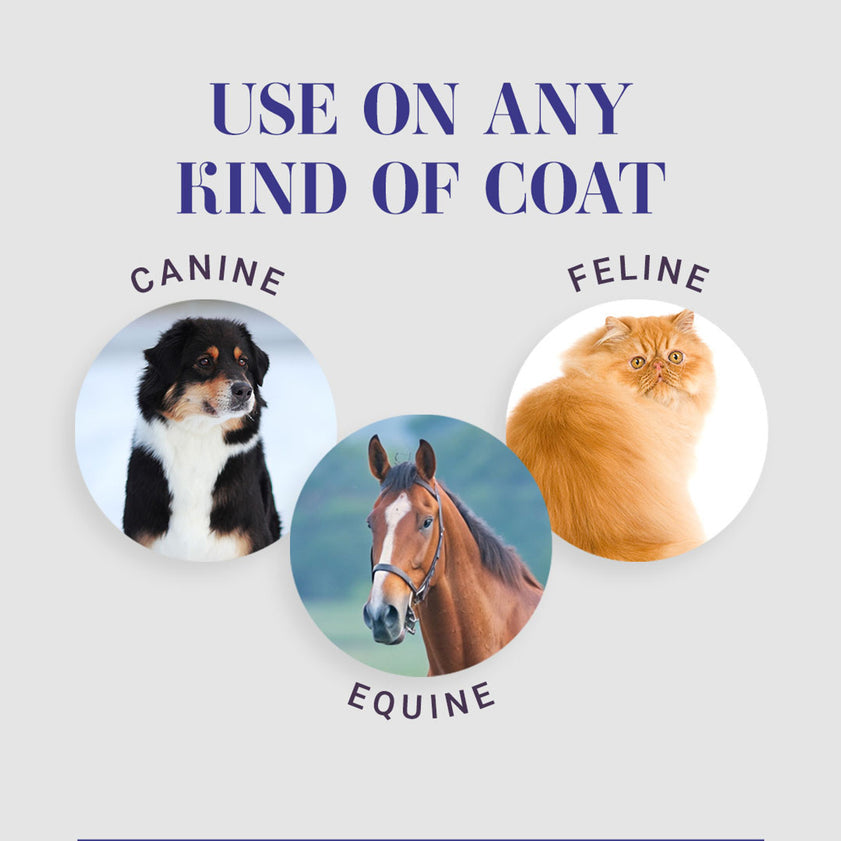 Chris Christensen Quench Leave in Conditioner Spray for Dogs, 13.2oz