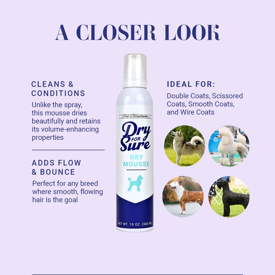 Chris Christensen Dry For Sure Dry Mousse For Dogs, 10oz
