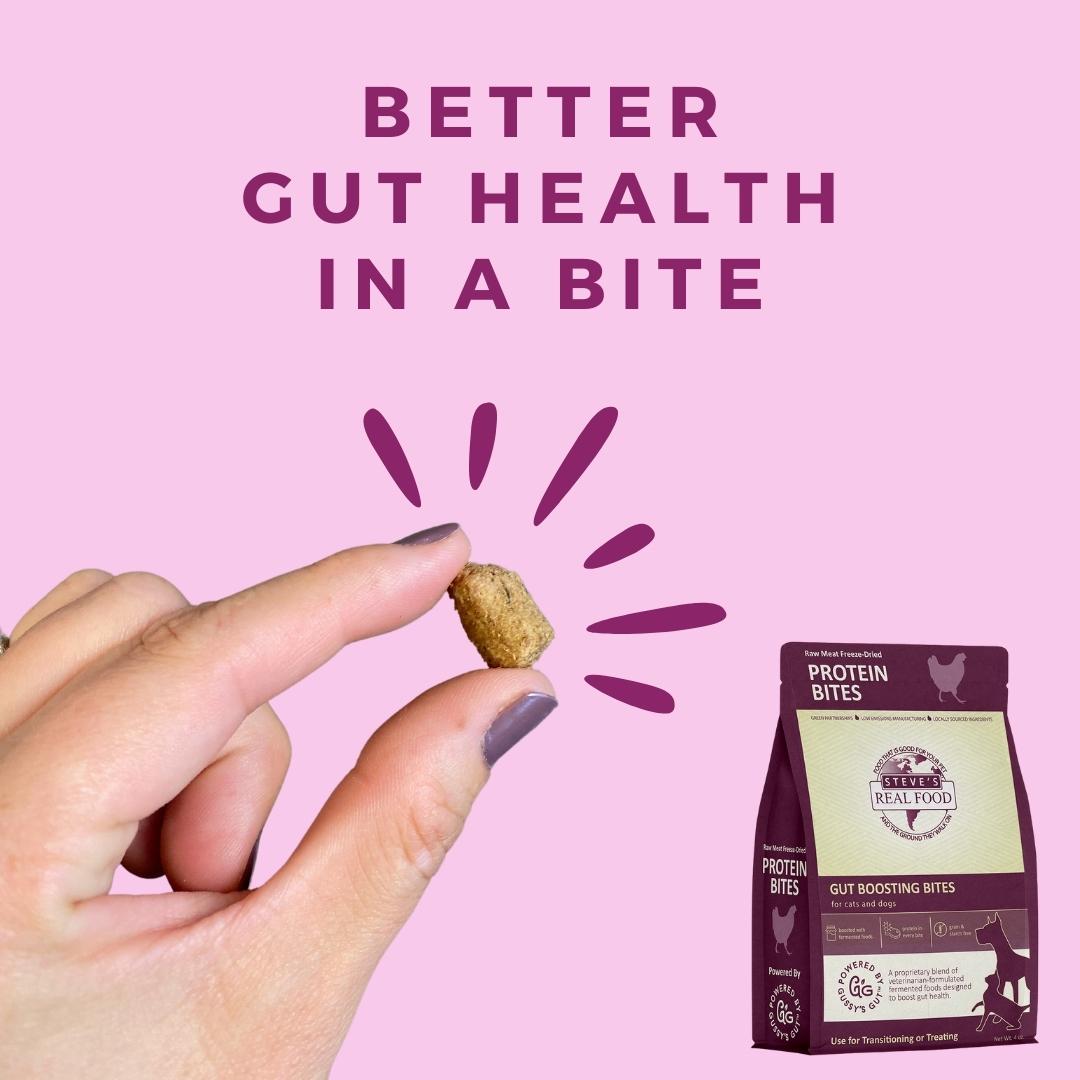 Steve's Real Food Chicken Protein Bites Freeze Dried Treats For Dogs and Cats, 4oz