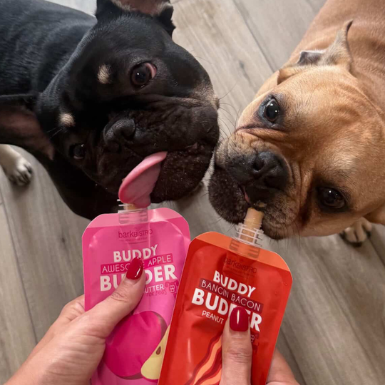 Bark Bistro Buddy Butter Peanut Butter Treat for Dogs, Beef Broth
