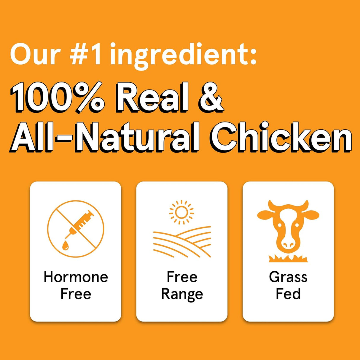 The Real Meat Company Chicken & Venison Jerky Dog Treats