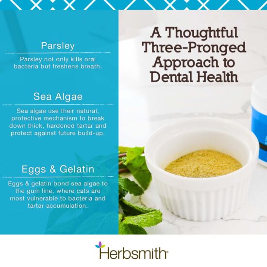 Herbsmith Breath Supplement For Cats, 75g