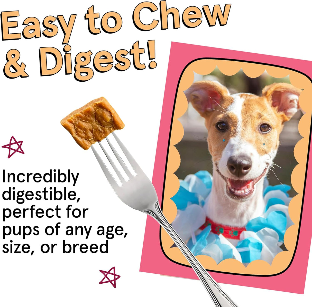 The Real Meat Company Chicken with Salmon Dehydrated Dog Food, 2lb