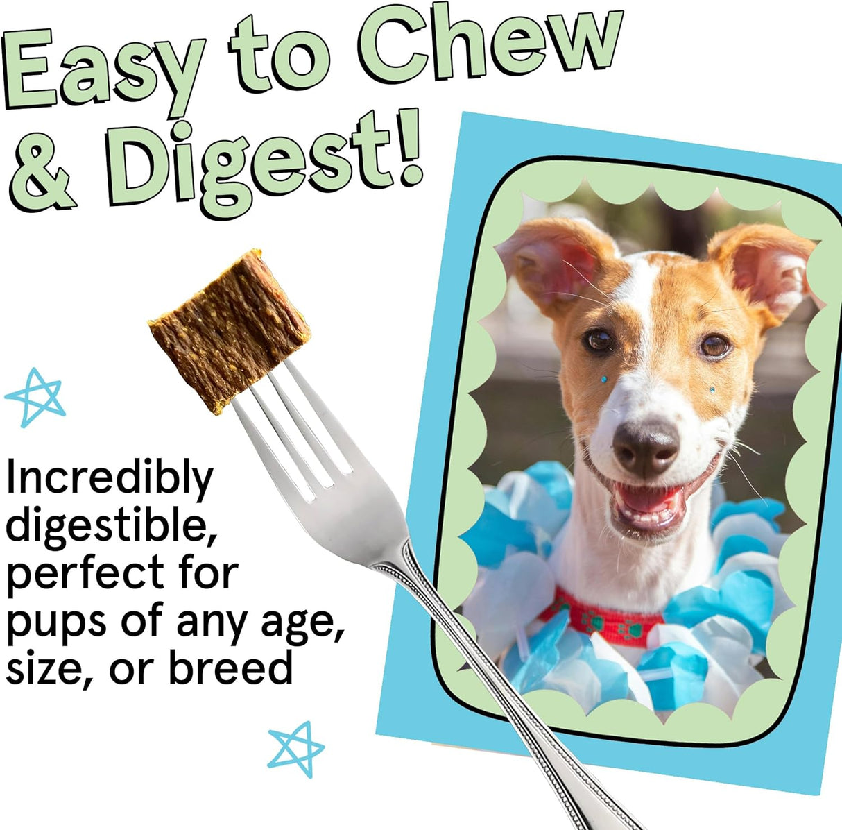 The Real Meat Company Beef with Mussels Dehydrated Dog Food, 2lb