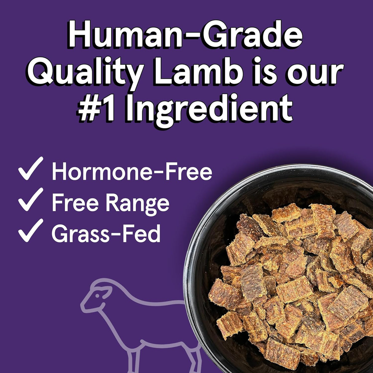The Real Meat Company Air-Dried Dog Food, Lamb