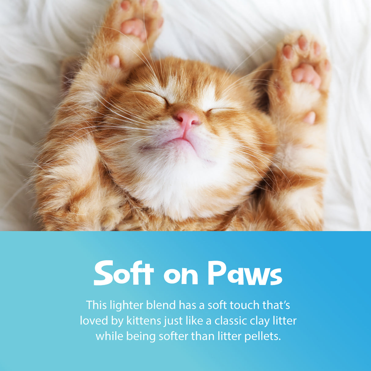 Smart Cat Lightweight Natural Unscented Clumping Cat Litter