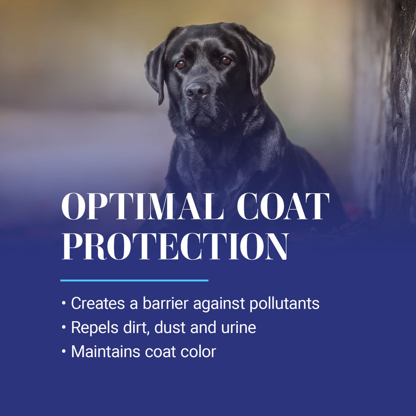 Chris Christensen Ice on Ice Ultra Conditioning Dematting Spray For Dogs, 13.2oz