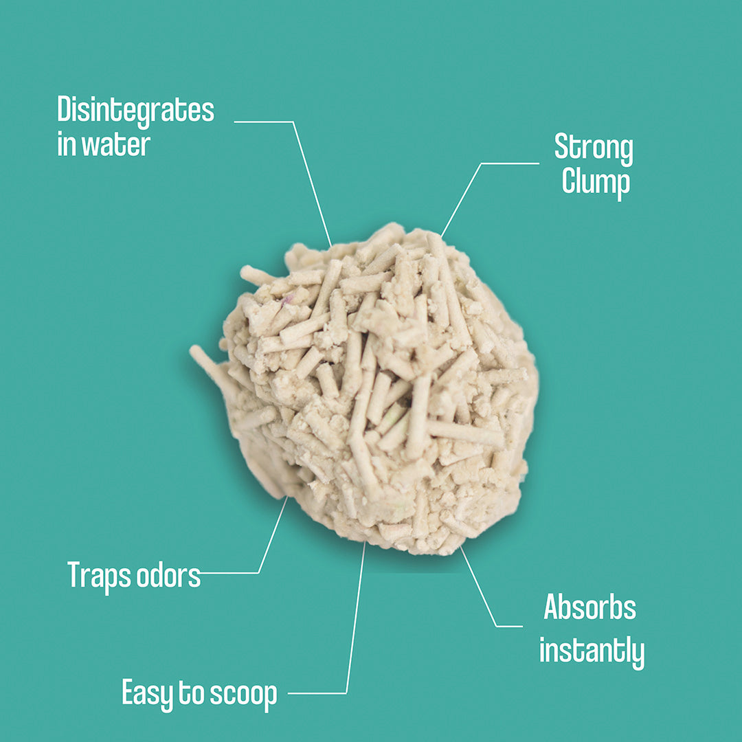 Dofu Cat Cereal Tofu Clumping Cat Litter, 5.5lb