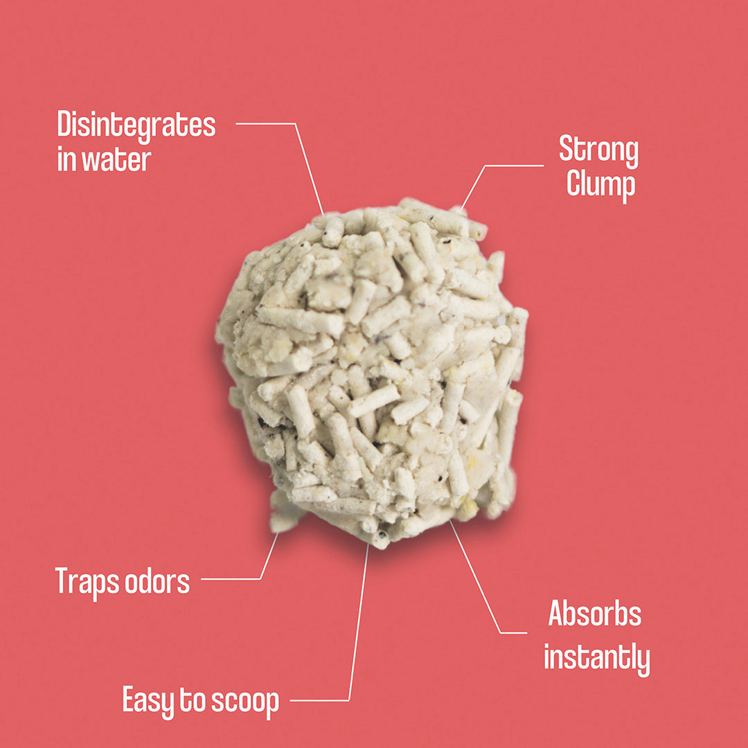 Dofu Cat Coffee & Bean Tofu Clumping Cat Litter