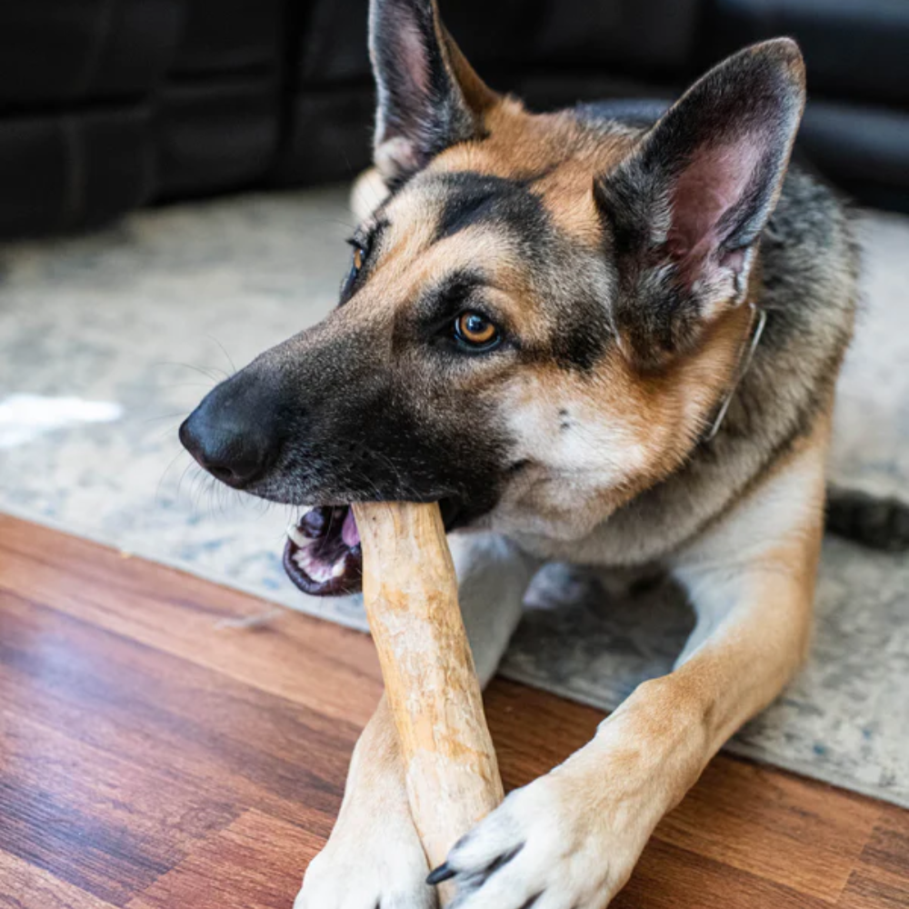 Jim & Benny's Coffee Wood Chew For Dogs