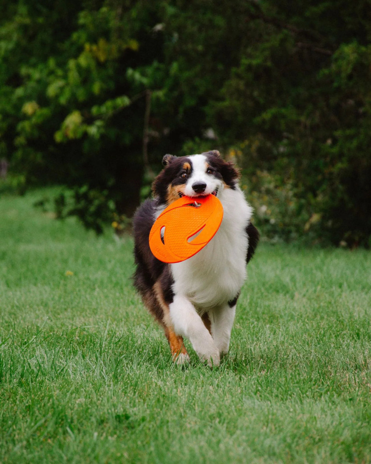 N GAGE Classic Flyer Interactive Rubber Dog Toy, Orange