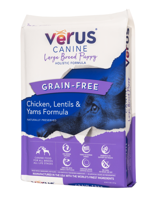 Large breed grain free dog food hot sale
