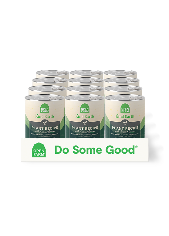 Open Farm Kind Earth Plant Recipe Pate Wet Dog Food, 12/12.5oz