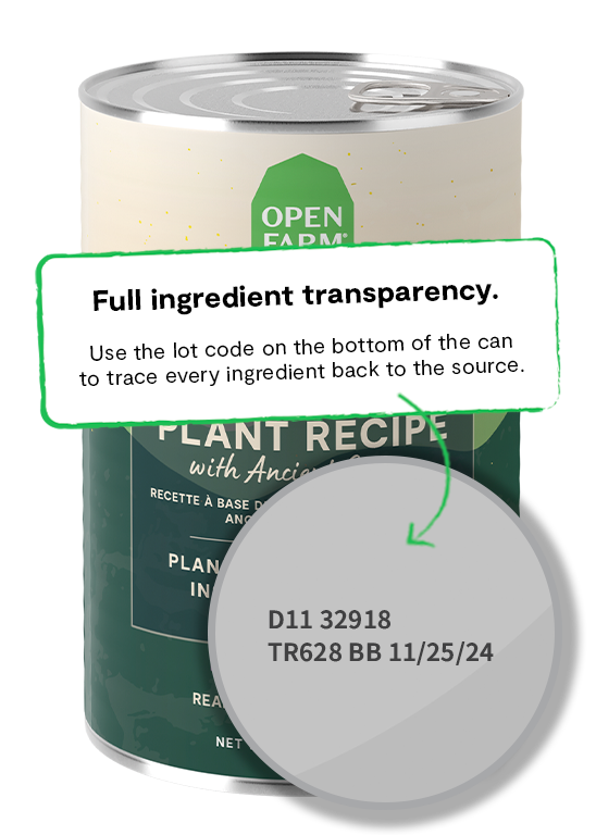 Open Farm Kind Earth Plant Recipe Pate Wet Dog Food, 12/12.5oz