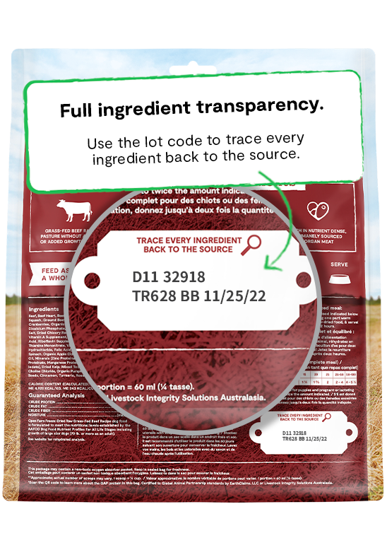 Open Farm Grass-Fed Beef Recipe Freeze Dried Raw Dog Food