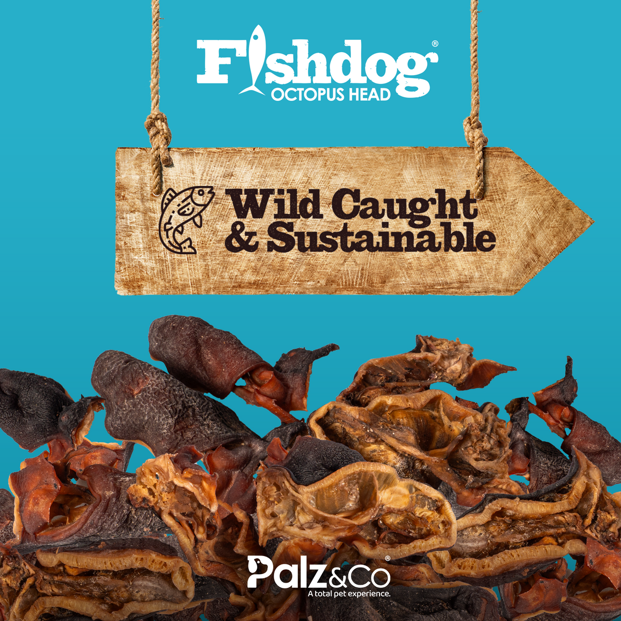 Palz&Co Fishdog Octopus Head Dog Treats, 3.5oz
