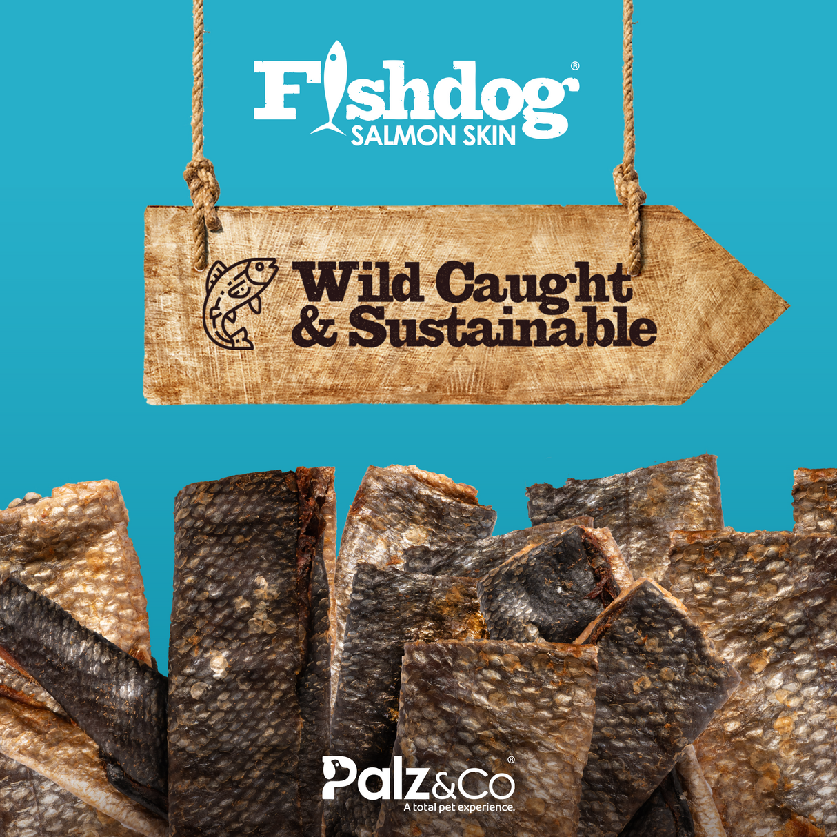 Palz&Co Fishdog Salmon Skin Dog Treats, 2.5oz