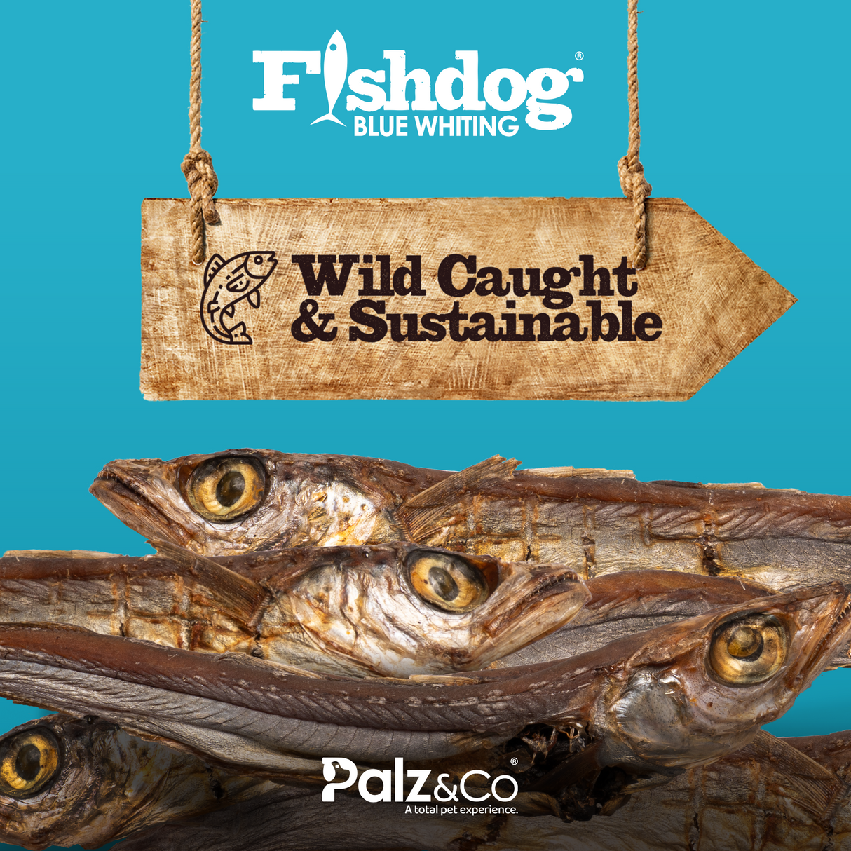 Palz&Co Fishdog Blue Whiting Dog Treats, 2.5oz