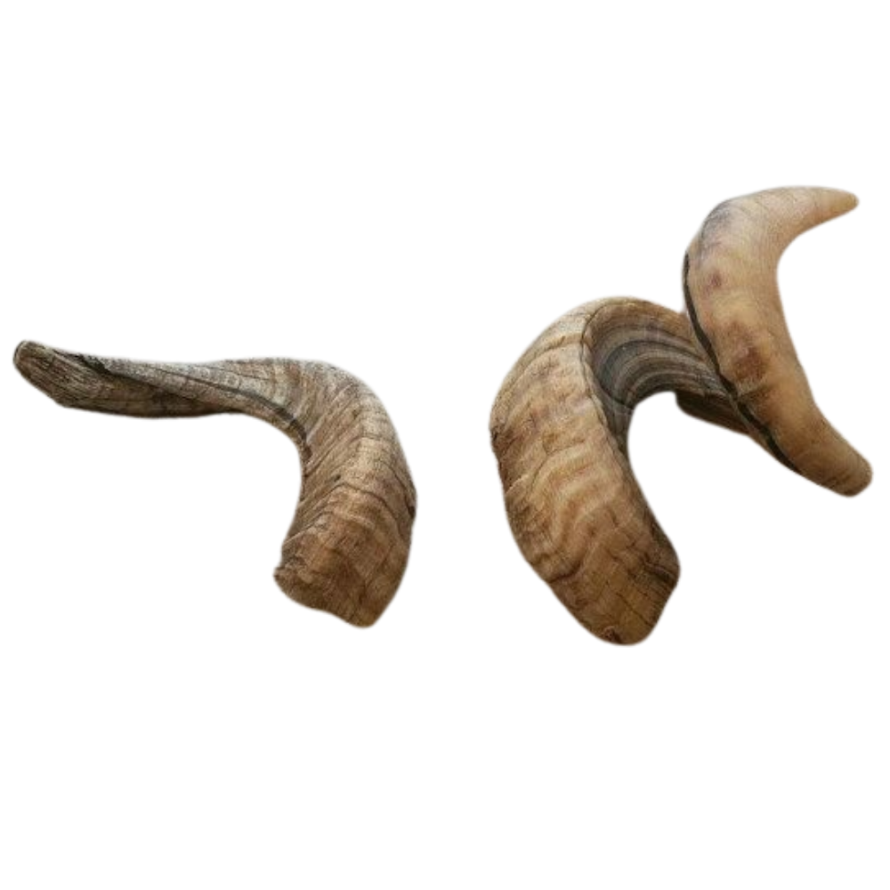 Premium Lamb Horn Dog Chew