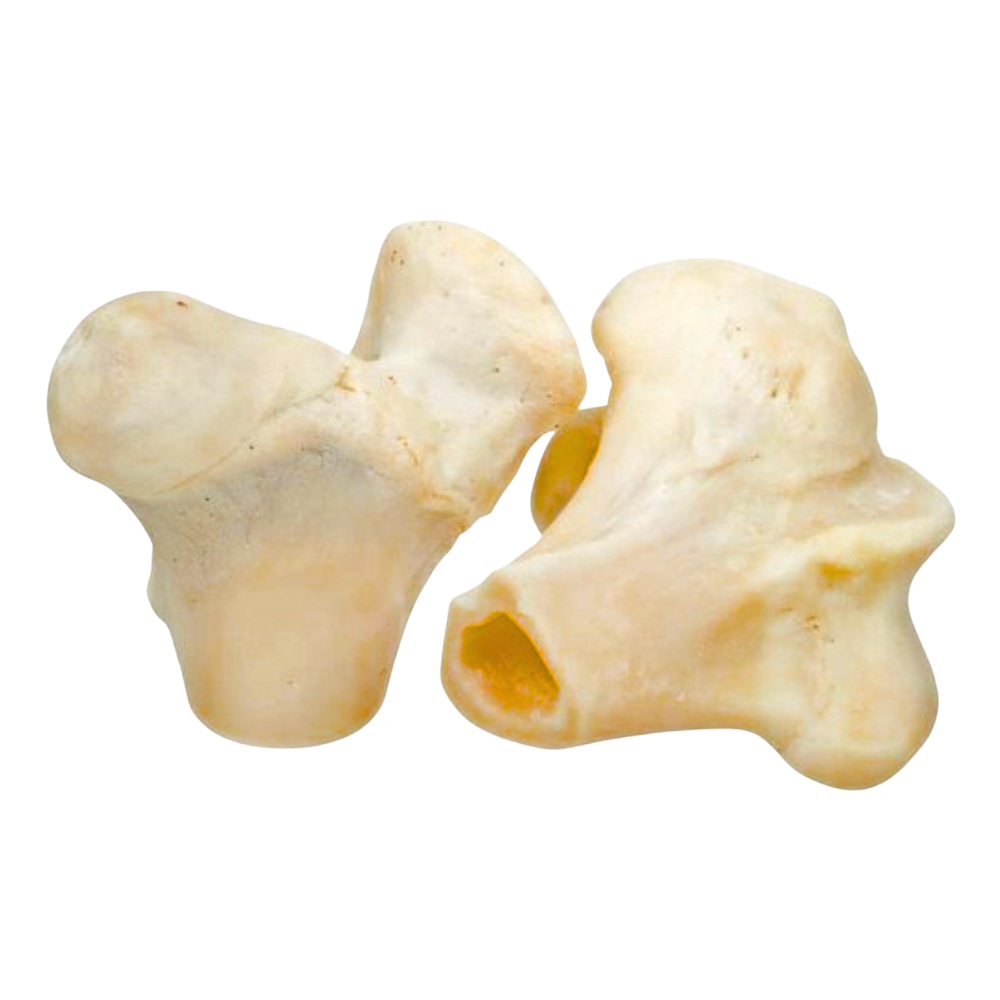 BluZone Pets White Knuckle Beef Bone For Dogs