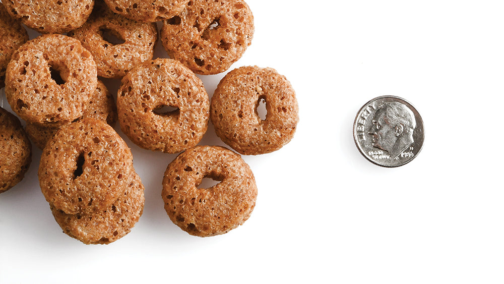 Fromm Crunchy Os Peanut Butter Jammers Flavored Dog Treats