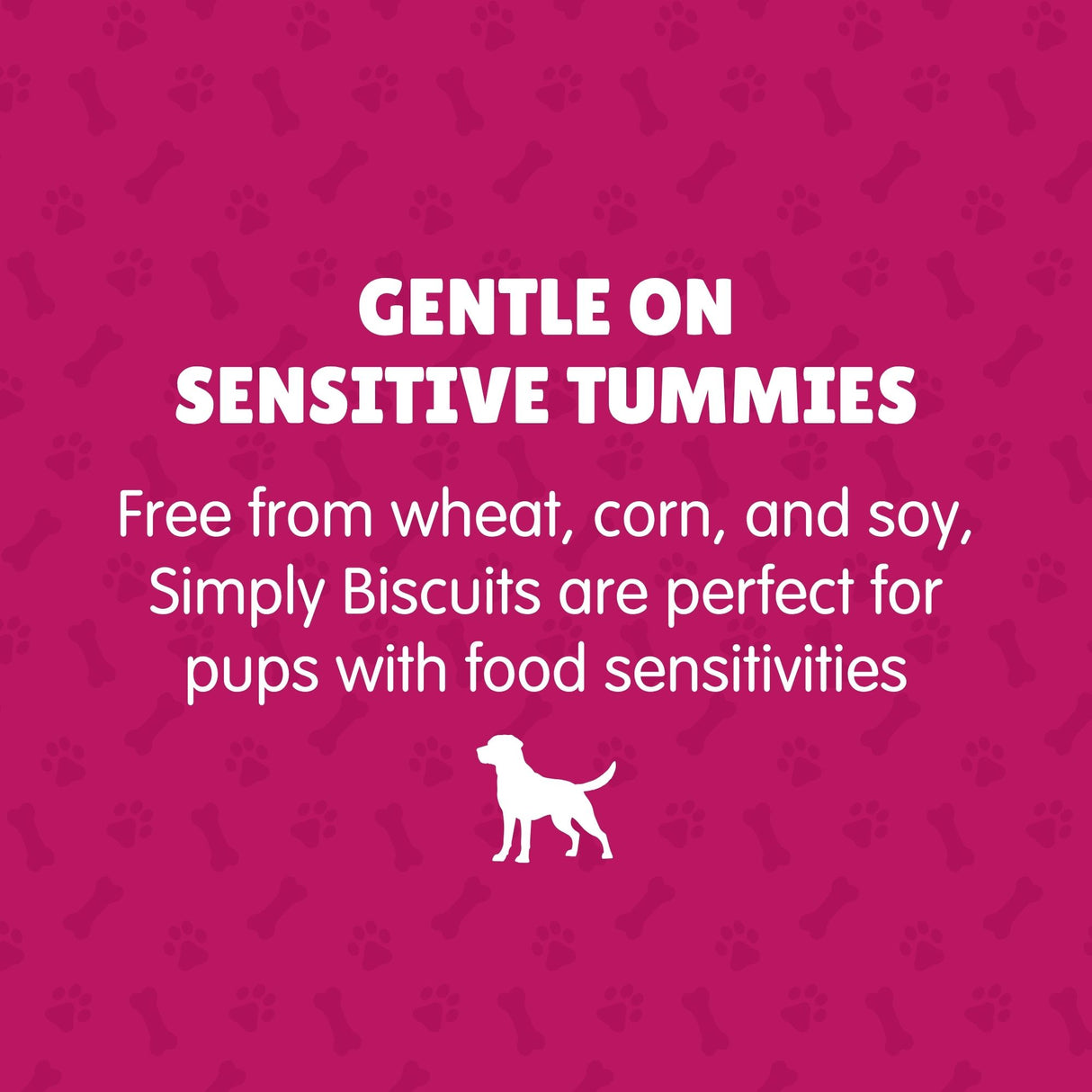 K9 Granola Factory Simply Biscuits Peanut Butter Blueberry Dog Treats, Medium