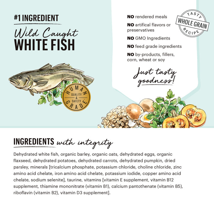 The Honest Kitchen Whole Grain Fish & Oats Recipe Dehydrated Dog Food