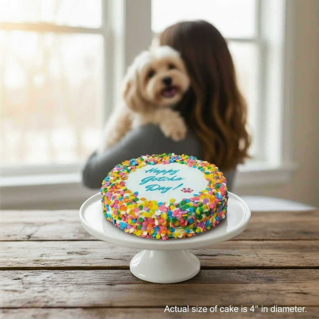 Colorful cake with 'Happy Gotcha Day!' on a white stand, woman holding a dog in the background.