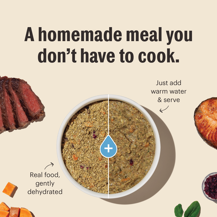 The Honest Kitchen Whole Grain Beef, Oat & Salmon Puppy Recipe Dehydrated Dog Food