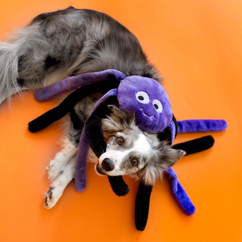 Zippy Paws Halloween 2025 Grunterz Plush Dog Toy, Purple Spider