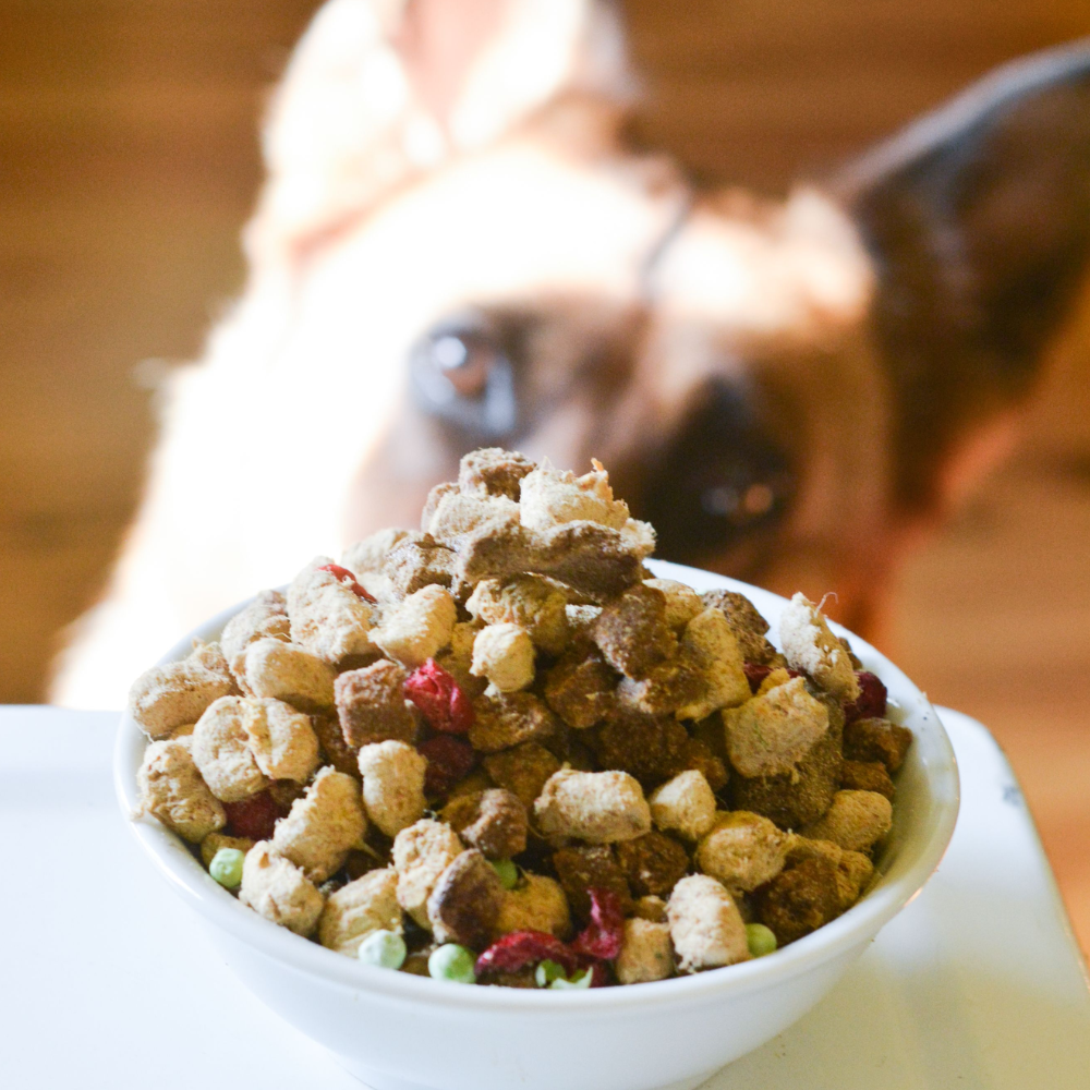 The Simple Food Project Synthetic-Free Freeze-Dried Dog Food - Beef & Salmon Recipe