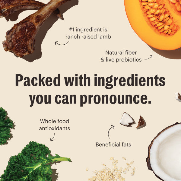 The Honest Kitchen Gourmet Whole Food Clusters Grain Free Lamb & Superfoods Recipe Dry Dog Food