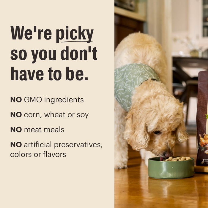 The Honest Kitchen Protein Plus+ Fish with Superfoods Food Topper For Dogs, 12oz