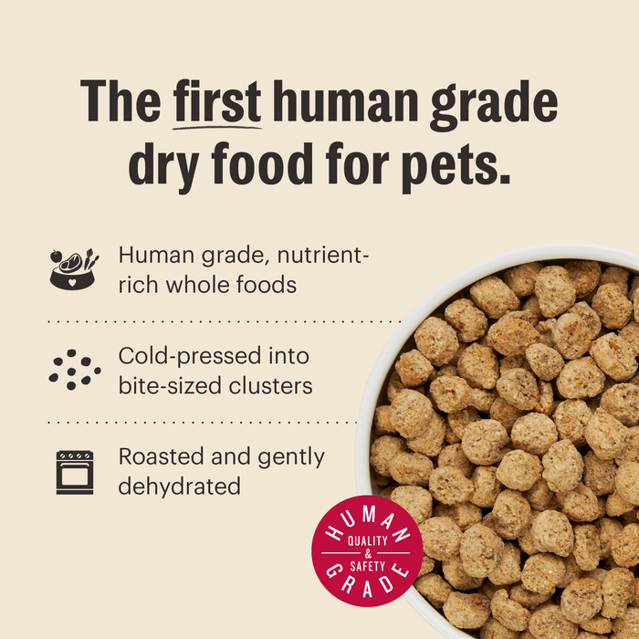 The Honest Kitchen Essentials Whole Food Clusters Whole Grain Turkey & Chicken Recipe Dry Dog Food