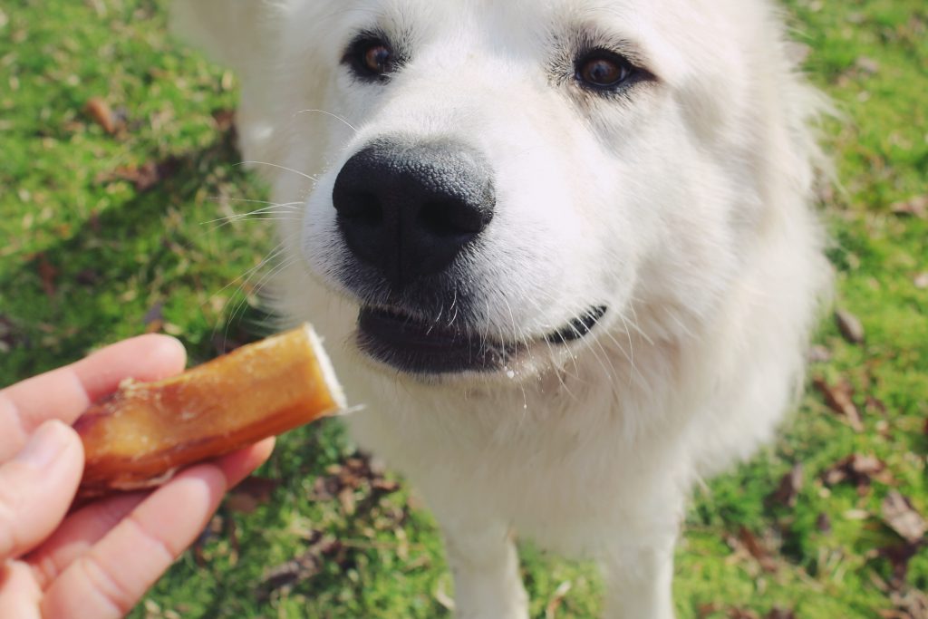 Redbarn Naturals Bully Bites Dog Treats, 10oz