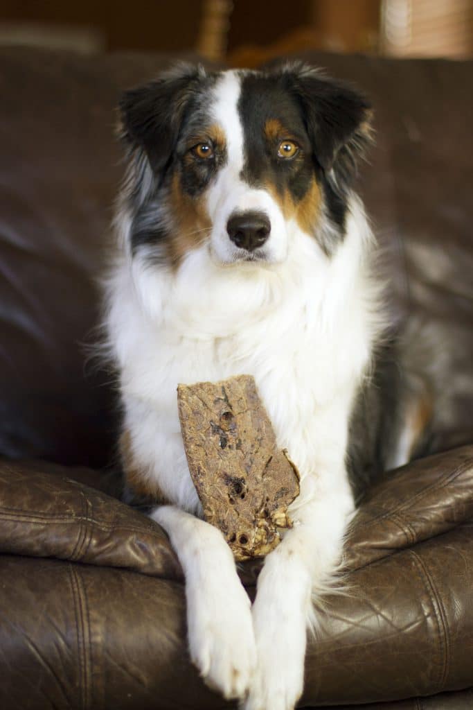 Redbarn Choppers Dog Treats, 9-oz bag