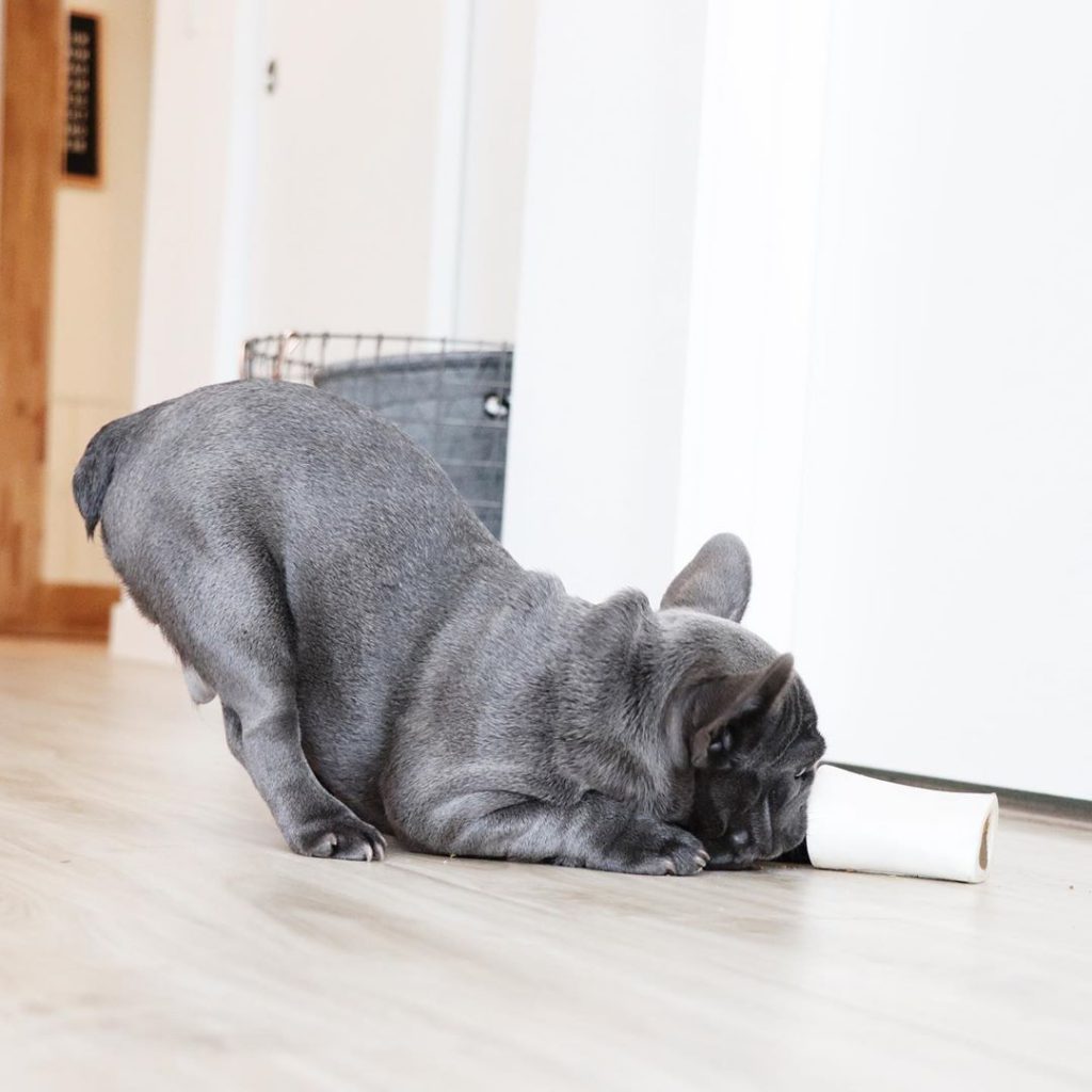 Redbarn Small Chicken Filled Bone For Dogs