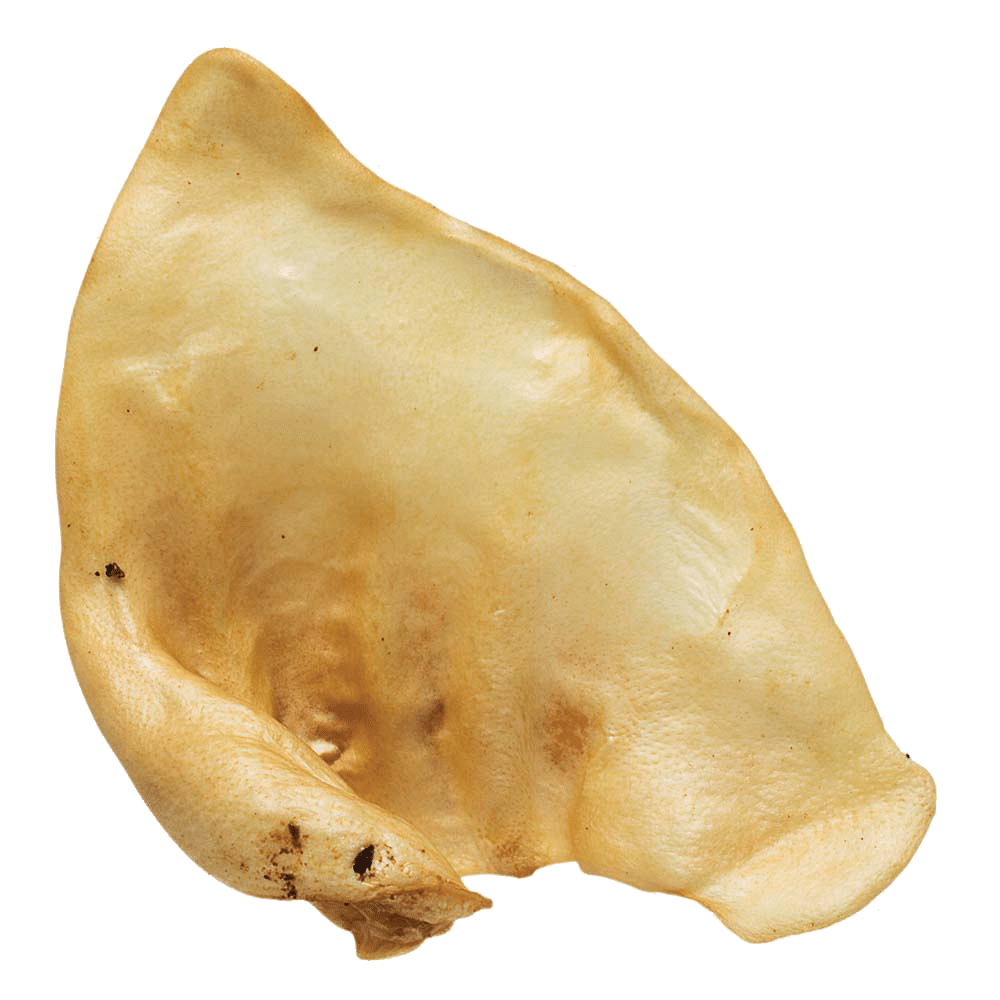 Redbarn Puffed Sow Ear Dog Treat