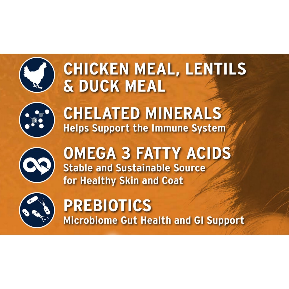 Annamaet Grain-Free Salcha Poulet Formula Dry Dog Food