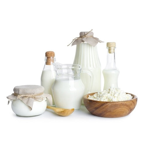 Answers Pet Food Frozen Raw Fermented Dog Food, Detailed Formula Patties & Nuggets