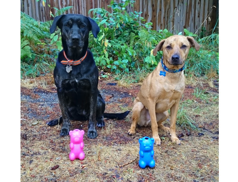 RuffDawg USA GummyBear Rubber Retrieving Dog Toy, Assorted
