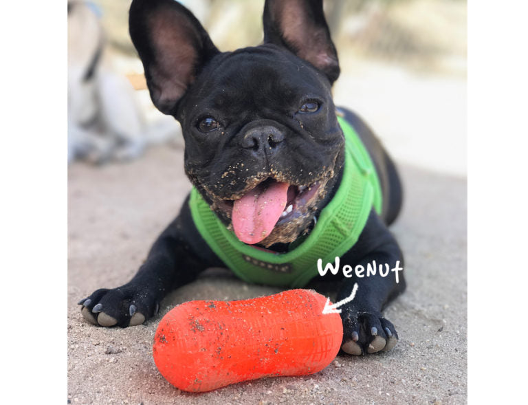 RuffDawg USA Peanut Rubber Retrieving Dog Toy