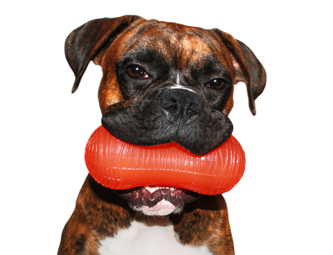 RuffDawg USA Peanut Rubber Retrieving Dog Toy