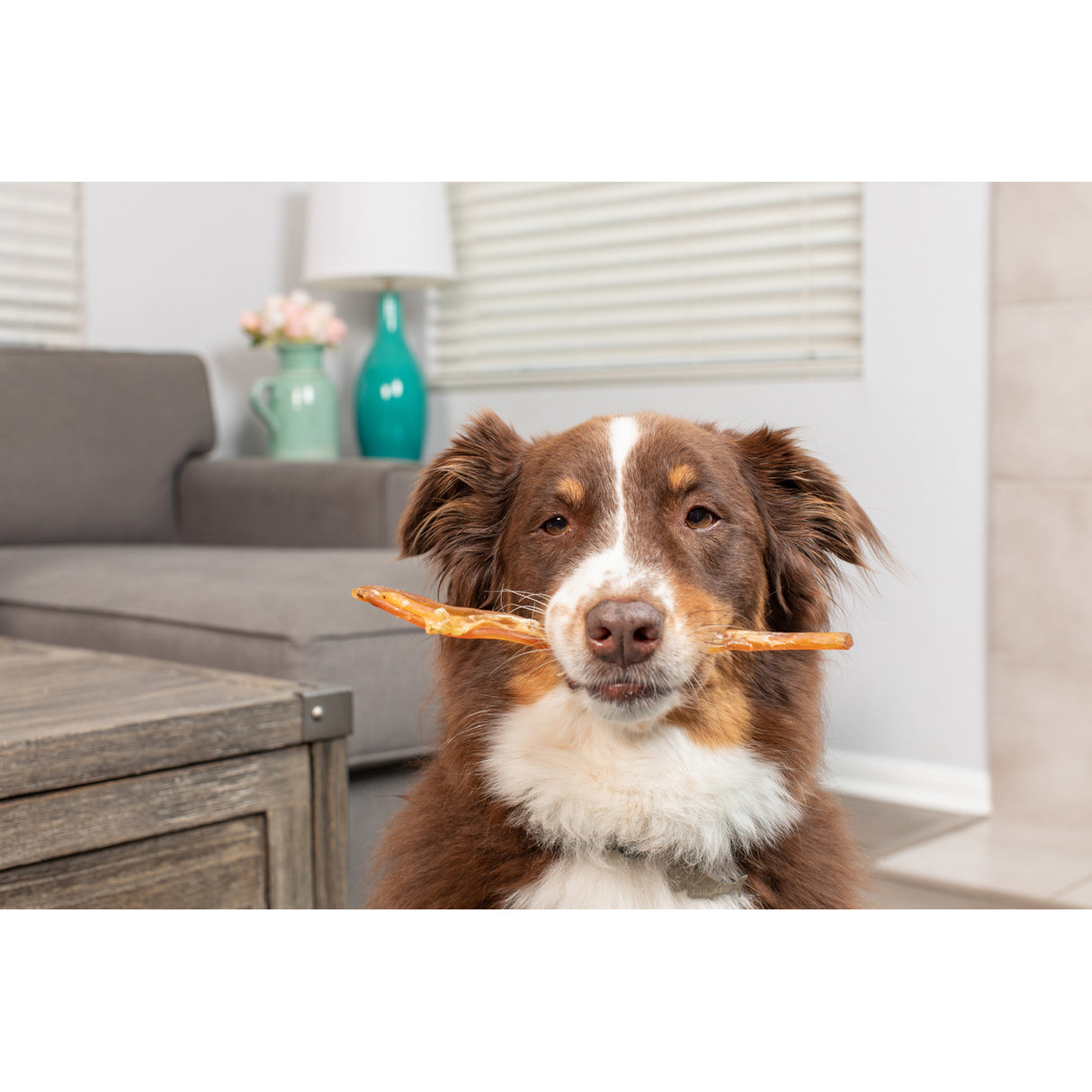 Natural Cravings USA Angus Beef Tendon Dog Treat, 6-7"