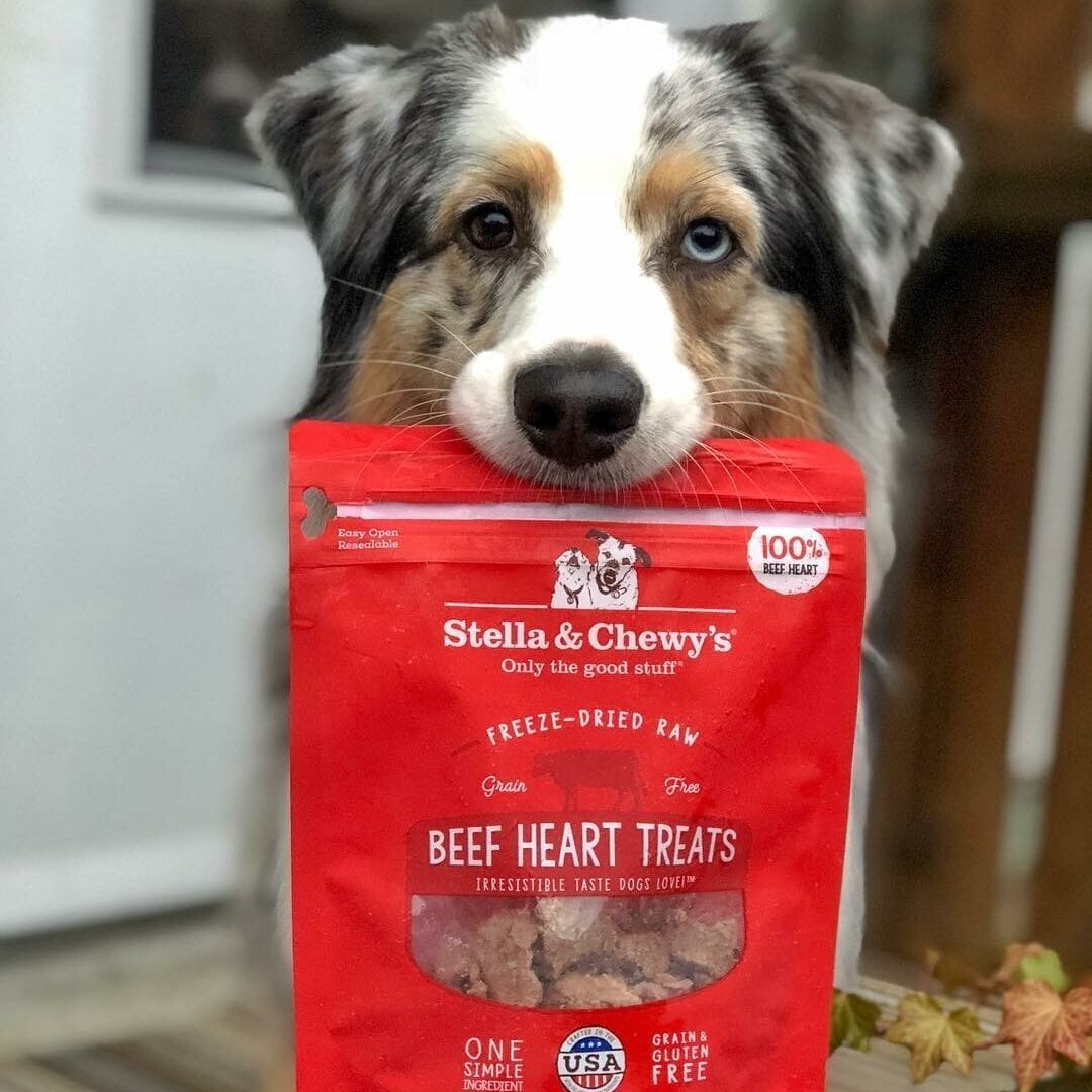 Stella & Chewy's Freeze Dried Beef Heart Treats For Dogs, 3oz