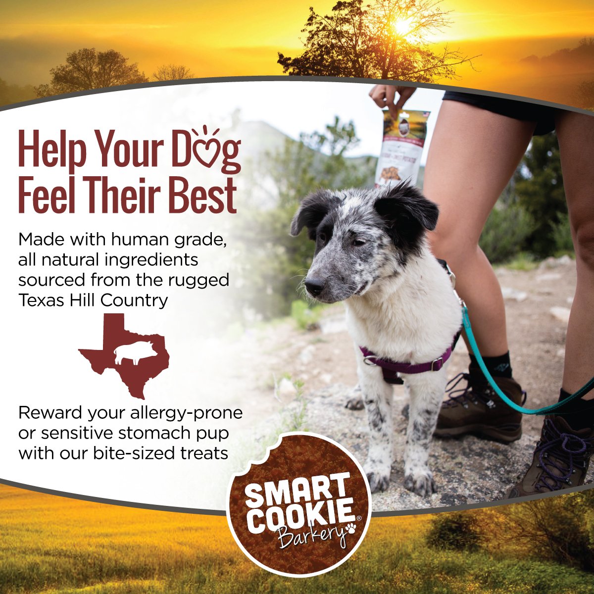 Smart Cookie Barkery Regional Bites Texas Hill Country Wild Boar & Sweet Potato Treats For Dogs, 5oz