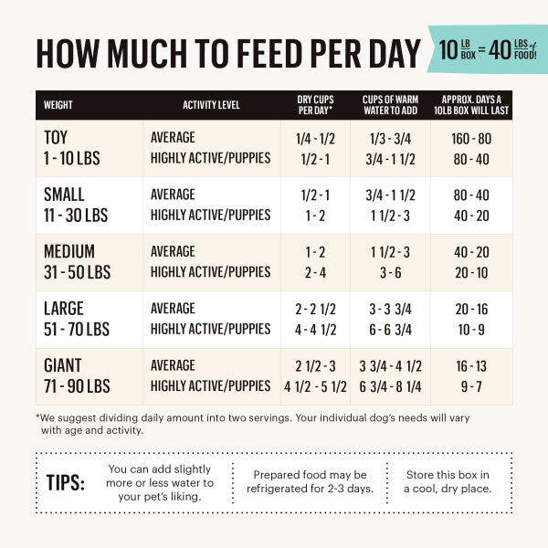 The Honest Kitchen Grain Free Beef Recipe Dehydrated Dog Food