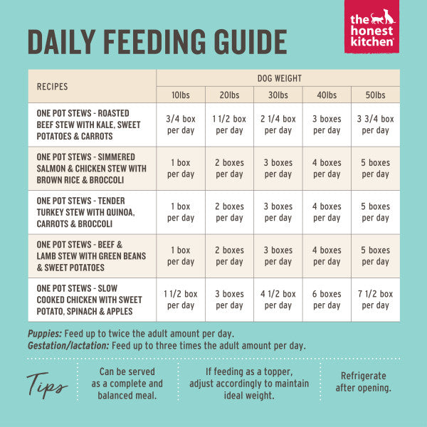 The Honest Kitchen One Pot Stews Slow Cooked Chicken Stew with Sweet Potato, Spinach and Apples Wet Dog Food, 6/10.5oz