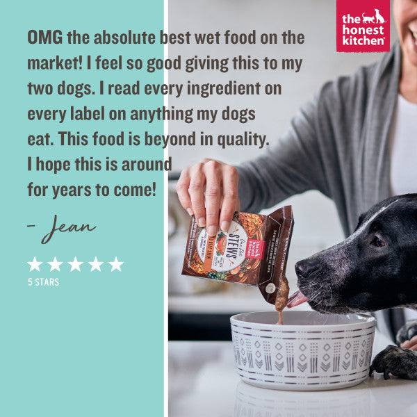 The Honest Kitchen One Pot Stews Roasted Beef Stew with Kale, Sweet Potatoes and Carrots Wet Dog Food, 6/10.5oz